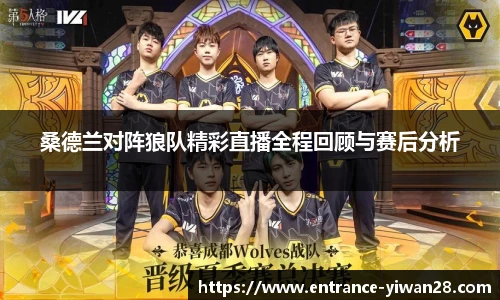 桑德兰对阵狼队精彩直播全程回顾与赛后分析