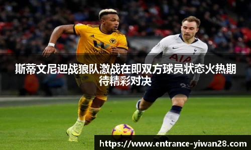 斯蒂文尼迎战狼队激战在即双方球员状态火热期待精彩对决